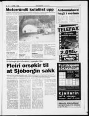 Síða 7
