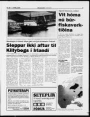 Síða 9