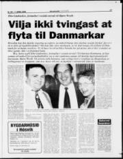 Síða 17