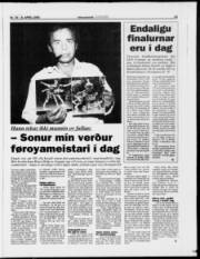 Síða 15