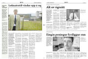Síða 3