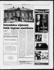 Síða 9