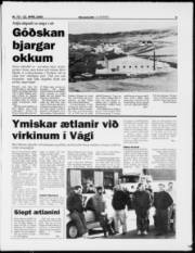 Síða 5