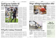 Síða 8