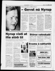 Síða 6
