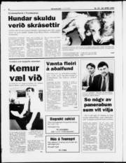 Síða 8