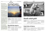 Síða 11