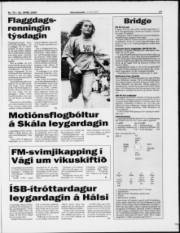 Síða 17