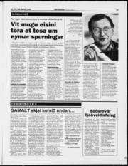 Síða 13