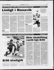 Síða 17