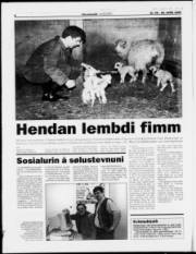 Síða 6