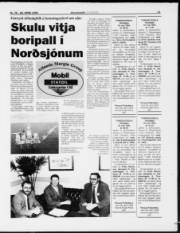 Síða 11