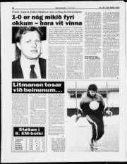 Síða 14