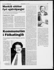 Síða 13