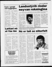 Síða 6