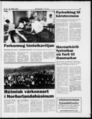 Síða 17