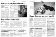 Síða 4