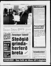 Síða 5