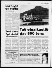 Síða 6