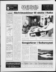 Síða 20