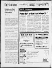 Síða 2