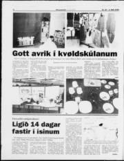 Síða 6