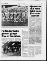 Síða 15