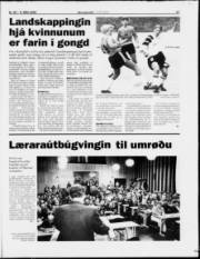Síða 17