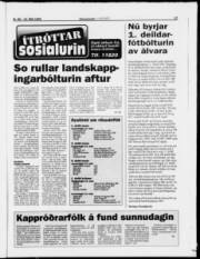 Síða 17