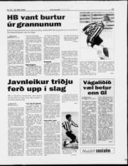 Síða 13