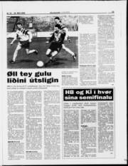 Síða 15