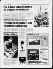 Síða 5