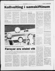 Síða 8