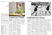 Síða 13