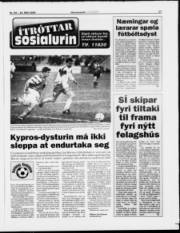 Síða 17