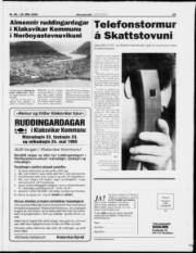 Síða 19