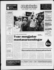 Síða 24