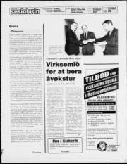 Síða 2