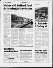 Síða 3