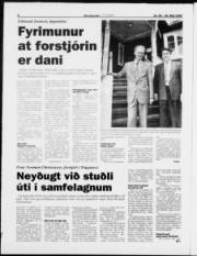 Síða 8