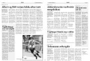 Síða 15
