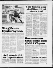 Síða 15