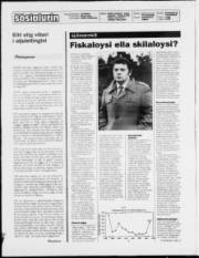 Síða 2