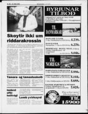 Síða 3