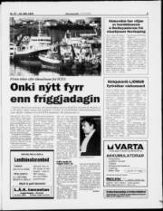 Síða 5