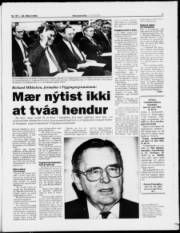 Síða 7