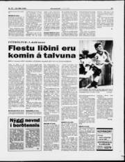 Síða 15