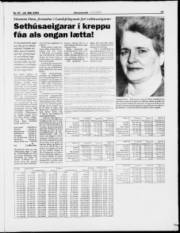 Síða 19