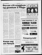 Síða 19