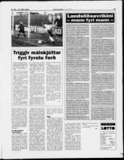 Síða 13